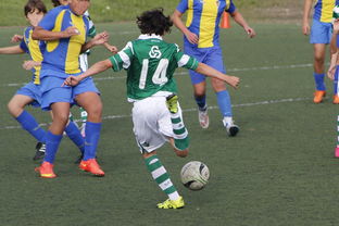 开云体育中国-法国网球队逆转德国网球队，纳达尔统治全场