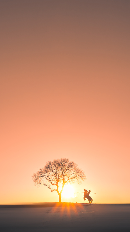 开云体育app-冰岛奇迹再现！无名英雄萨内一击制胜，瑞典防线溃不成军